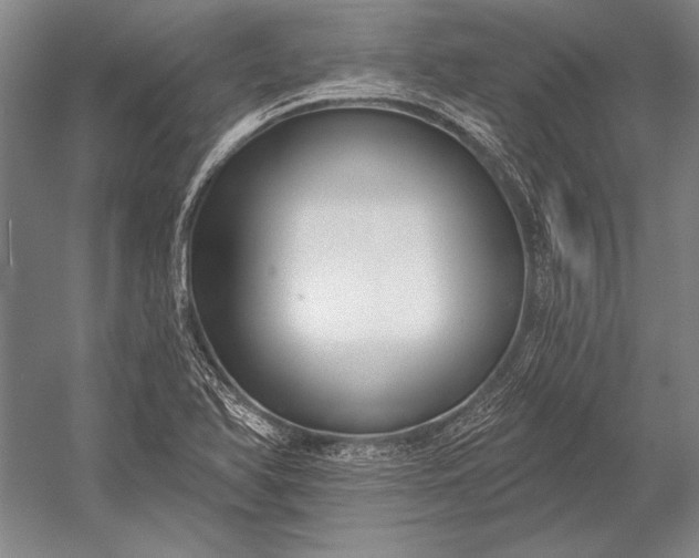 X0000053001366200507221236