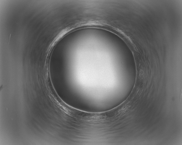 X0000053001367200507221236