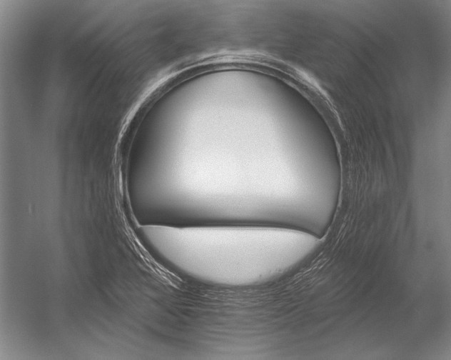 X0000053001368200507221236