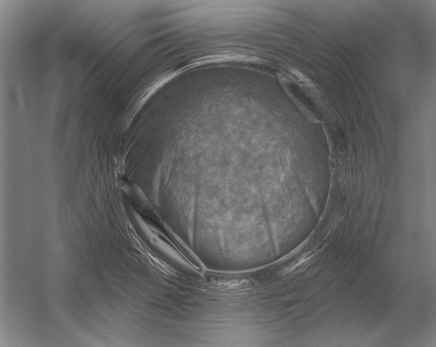 X0000053001369200507221236