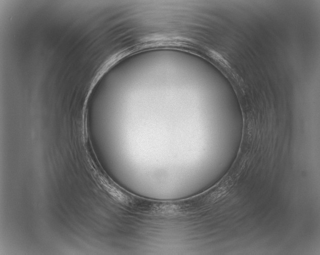 X0000053001370200507221236