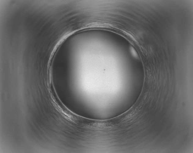 X0000053001371200507221236