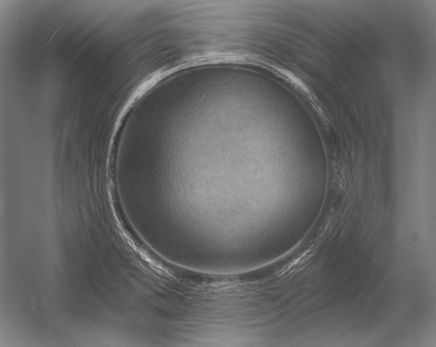 X0000053001373200507221236