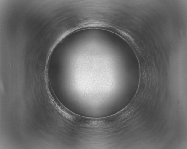 X0000053001375200507221236