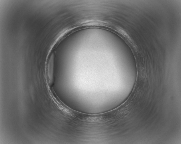 X0000053001376200507221236