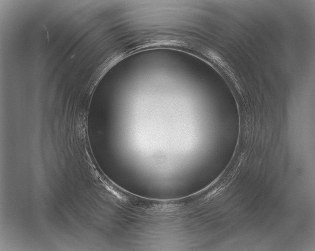 X0000053001377200507221236