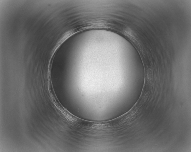 X0000053001378200507221236