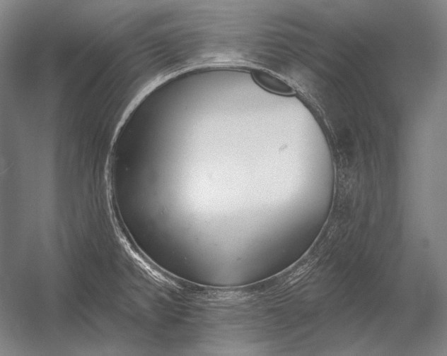 X0000053001382200507221236