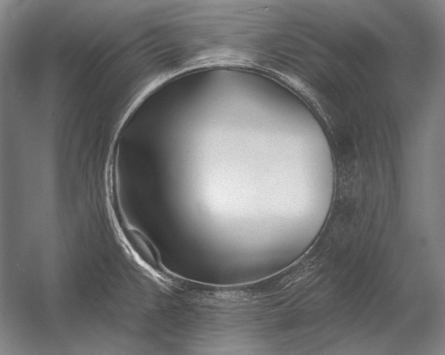 X0000053001383200507221235