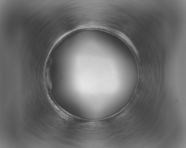 X0000053001388200507221235