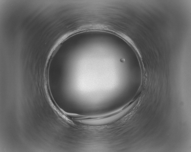 X0000053001389200507221235