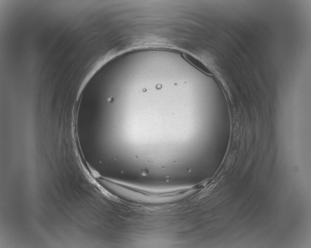 X0000053001390200507221235