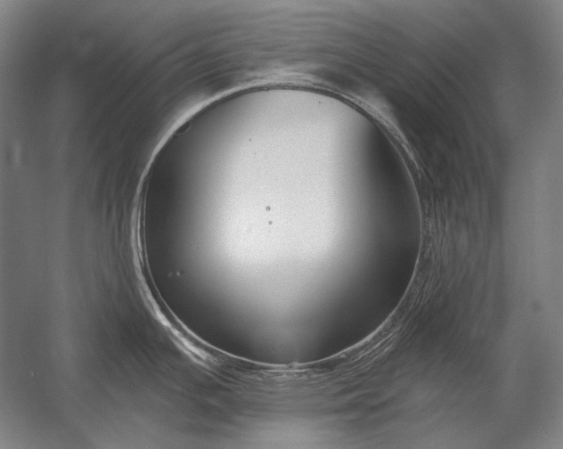 X0000053001391200507221235