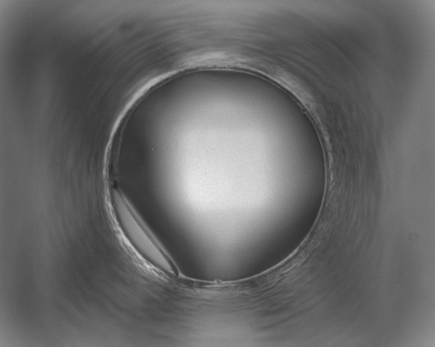 X0000053001392200507221235