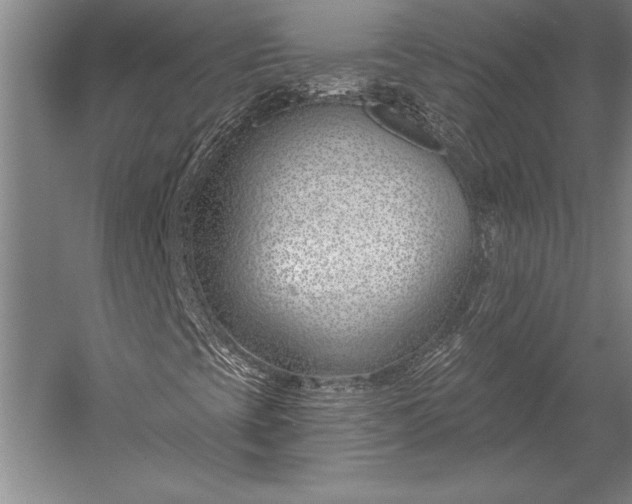 X0000053001393200507221235