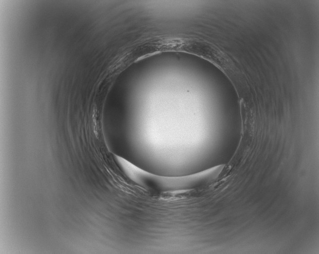 X0000053001394200507221235