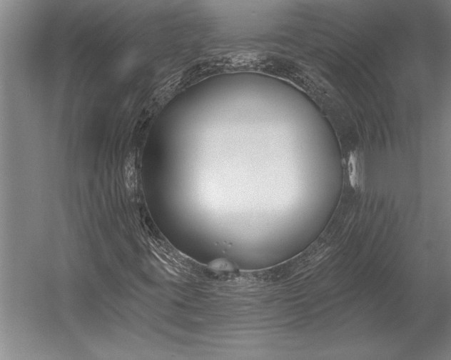 X0000053001395200507221235