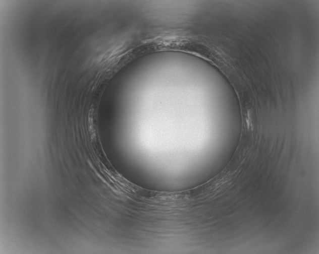 X0000053001396200507221235