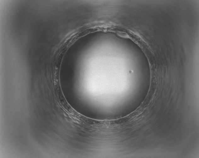 X0000053001399200507221235