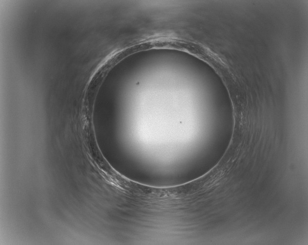 X0000053001400200507221235