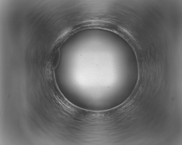 X0000053001403200507221235