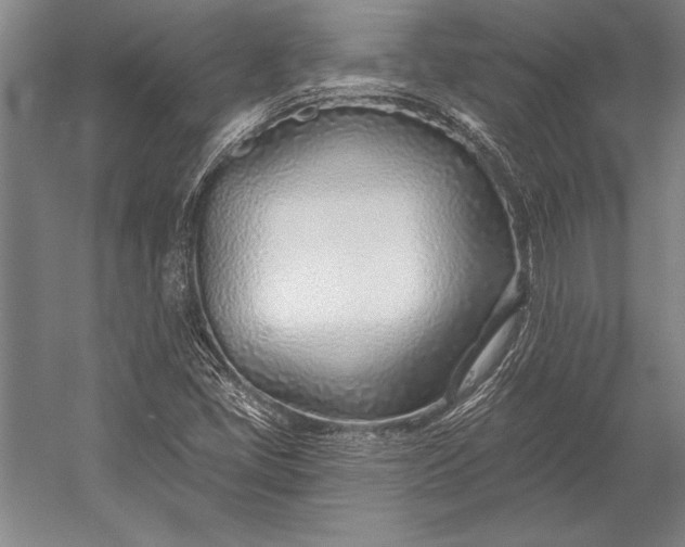 X0000053001405200507221235