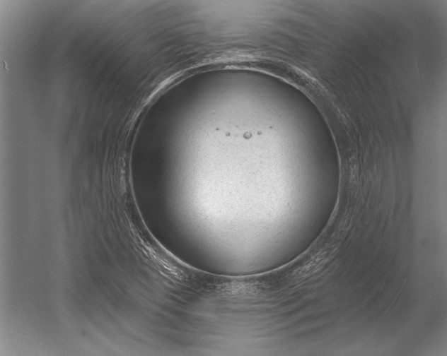 X0000053001409200507221235