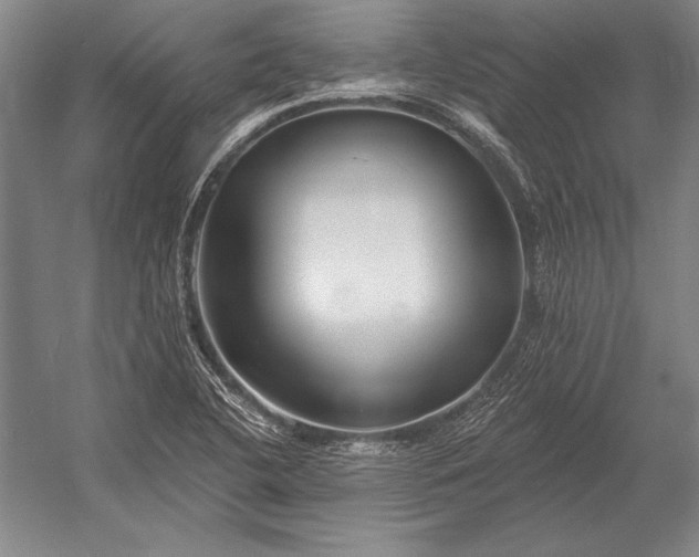 X0000053001412200507221235