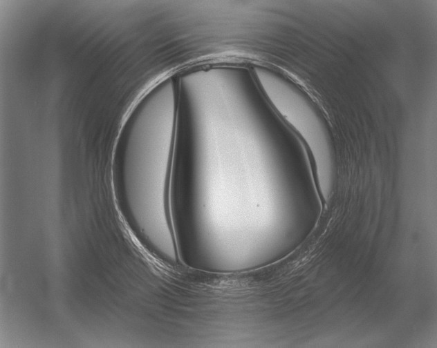 X0000053001418200507221235