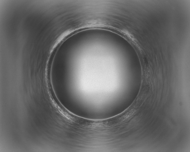 X0000053001422200507221235