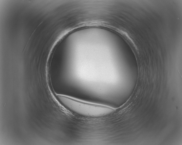 X0000053001424200507221235