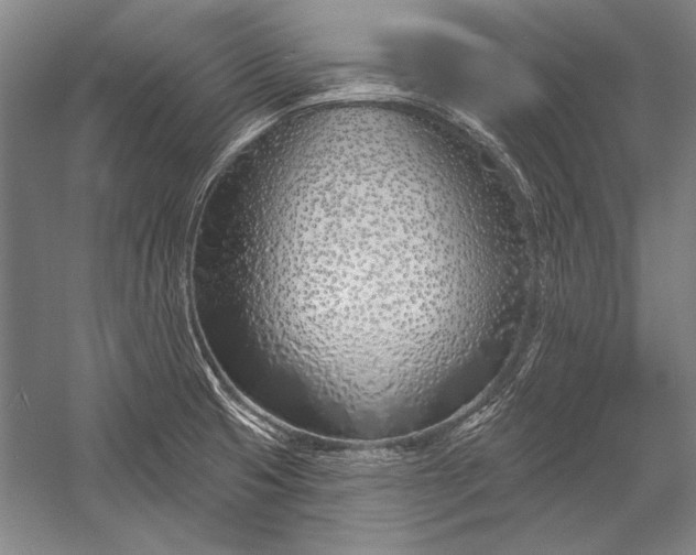 X0000053001425200507221235