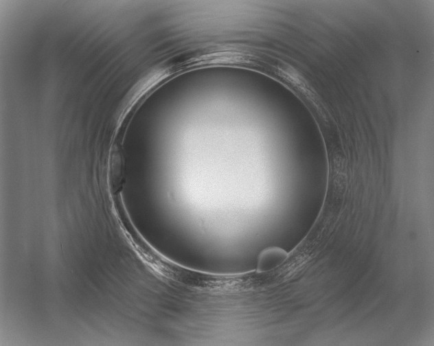 X0000053001426200507221235