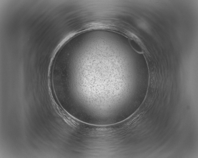 X0000053001427200507221235