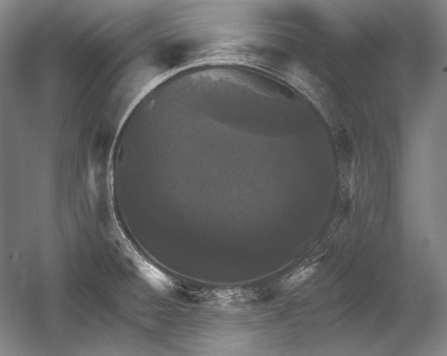 X0000053001428200507221235