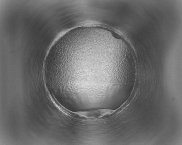 X0000053001429200507221235