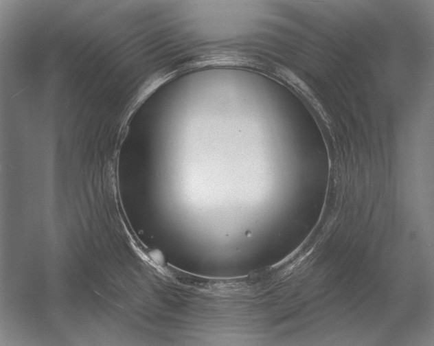 X0000053001433200507221235