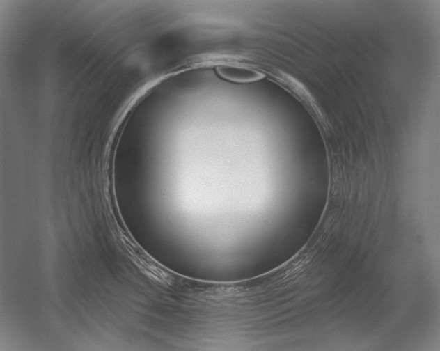 X0000053001435200507221235