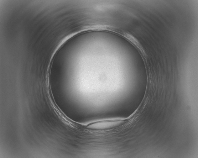 X0000053001436200507221235