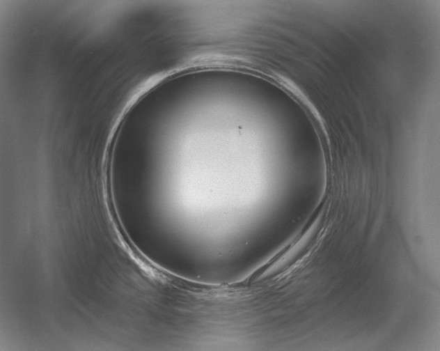 X0000053001437200507221235