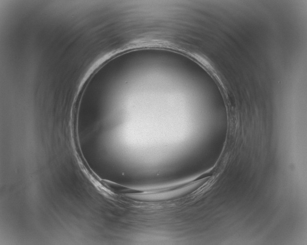 X0000053001438200507221235