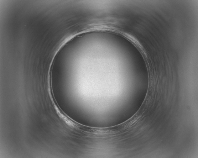 X0000053001439200507221235