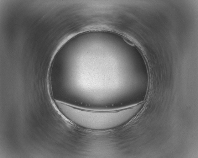 X0000053001440200507221235