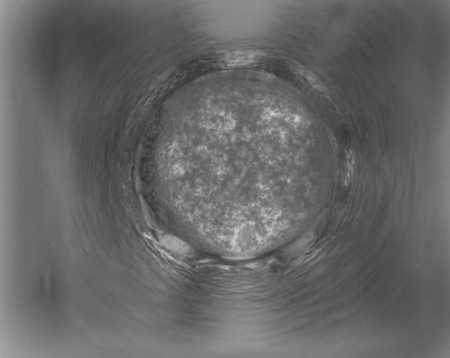 X0000053001441200507221235