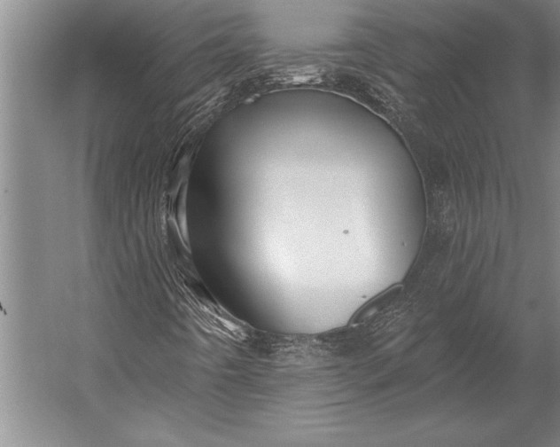 X0000053001442200507221234