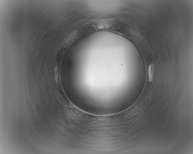 X0000053001443200507221234