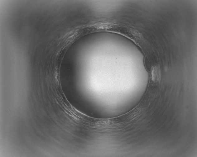 X0000053001444200507221234