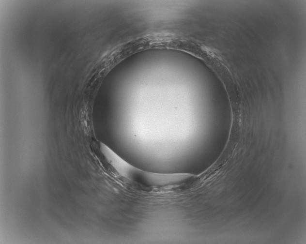 X0000053001445200507221234