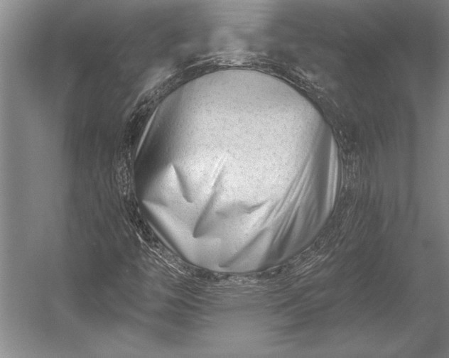 X0000053001446200507221234