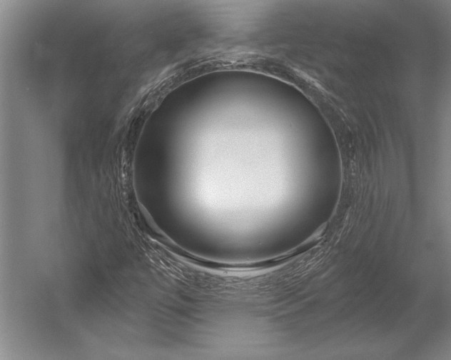 X0000053001447200507221234